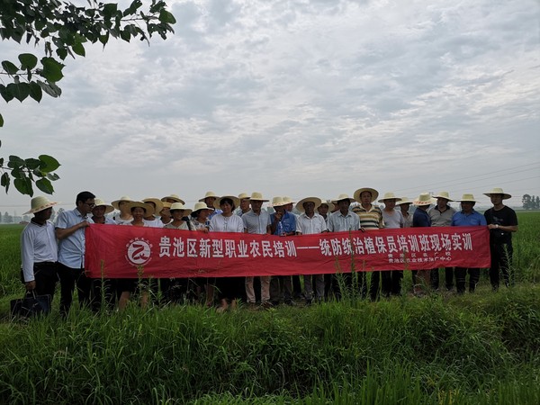 【貴池區(qū)新型職業(yè)農(nóng)民培訓民生工程】貴池區(qū)新型職業(yè)農(nóng)民培訓重理論更重實踐，圖為植保班開展田間實訓課。.jpg